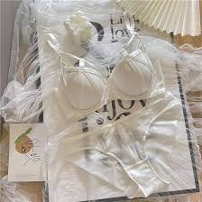 セクシーレースブラ＆パンティセット