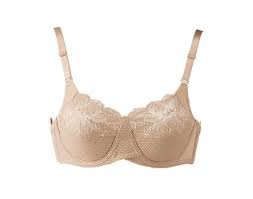 シャルレ 美意識ブラジャー E80 ナチュラルブラウン